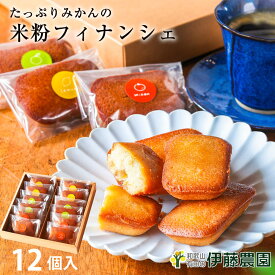 【楽天スーパーSALE★ランク別P最大10倍】柑橘ピール入り 米粉のフィナンシェ 12個入り 柚子 みかん レモン スイーツ フィナンシェ グルテンフリー 米粉 定番 焼き菓子 洋菓子 贈り物 誕生日プレゼント 内祝い 結婚祝い 出産祝い 出産内祝い 手土産
