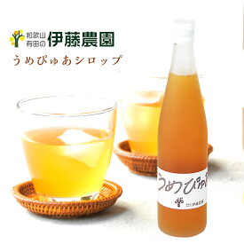 梅 シロップ 500ml 1～12本 無添加 梅酒 梅ジュース 希釈用 原液 南高梅 贈り物 和歌山 内祝い