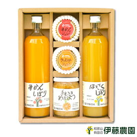 みかんジュース ギフト みかんゼリー 詰め合わせ ギフト コンポート 無添加 誕生日プレゼント 内祝い 結婚祝い 出産祝い 出産内祝い