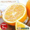 バレンシアオレンジ 訳あり 5kg 送料無料 和歌山 国産 和歌山 オレンジ 春 の みかん 自宅用 手詰め 箱買い ノーワックス ノーブラッシング 特別栽培 詰め合わせ