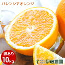 ＼ポイント5倍／バレンシアオレンジ 訳あり 10kg 送料無料 和歌山 国産 和歌山 オレンジ 春 の みかん 自宅用 手詰め 箱買い ノーワックス ノーブラッシング 特別栽培 詰め合わせ 暑中見舞い お盆 御供