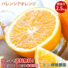 【2箱購入で5kg分送料無料 3箱購入で2.5kg増量！10kg分でお届け】バレンシアオレンジ 和歌山 国産 和歌山 訳あり 2.5kg 送料無料 2箱 購入で 送料無料 3箱 買うと 1箱 増量 オレンジ 春 の みかん 自宅用 手詰め 箱買い ノーワックス ノーブラッシング 特別栽培 詰め合わせ
