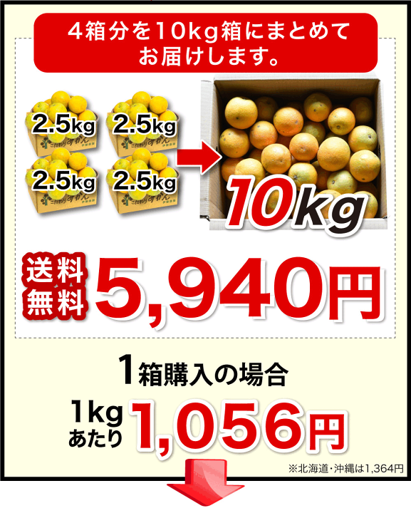 楽天市場】【2箱購入で5kg分送料無料 3箱購入で2.5kg増量！10kg分でお