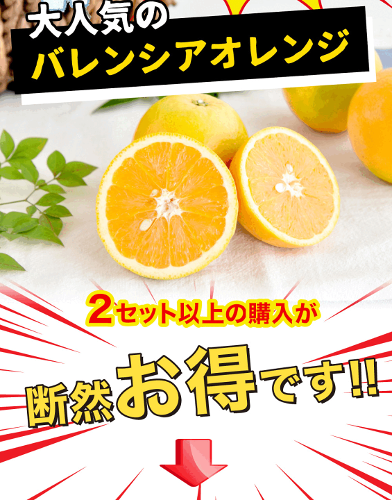 楽天市場】【2箱購入で5kg分送料無料 3箱購入で2.5kg増量！10kg分でお