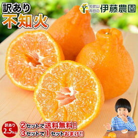 不知火 デコみかん デコポン同品種 2.5kg 2箱購入で5kg分送料無料 3箱購入で2.5kg増量！10kg分でお届け 和歌山 しらぬい シラヌイ 春 の みかん 自宅用 手詰め 箱買い ノーワックス ノーブラッシング 特別栽培 詰め合わせ