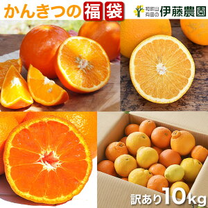 みかん 10kg 箱の人気商品 通販 価格比較 価格 Com みかん 10kg 箱の人気商品 通販 価格比較 価格 Com