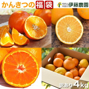 温州みかん 5kgの人気商品 通販 価格比較 価格 Com