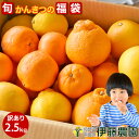 家庭用 訳あり 和歌山産 旬 柑橘詰め合わせ 2.5kg みかん以外 はっさく/いよかん/ポンカン/不知火 デコポン同品種　ま…