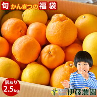 家庭用 訳あり 和歌山産 旬 柑橘詰め合わせ 2.5kg みかん以外 はっさく/いよかん/ポンカン/不知火 デコポ…