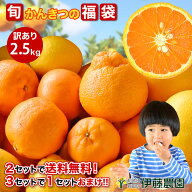 かんきつ類 詰め合わせ 訳あり 家庭用 和歌山産 かんきつ類 盛り合わせ 食べ比べ はっさく/清見オレンジ/…