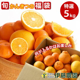 柑橘類 詰め合わせ かんきつ みかん 5kg 和歌山産みかん 送料無料 防腐剤 不使用 お取り寄せ フルーツ 盛り合わせ ポンカン いよかん 八朔など 旬 果物 ノーブラッシング ノーワックス