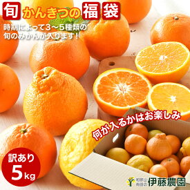 柑橘詰め合わせ かんきつ みかん 訳あり 5kg 和歌山産みかん 送料無料 防腐剤 不使用 箱 買い 蜜柑 お取り寄せ ポンカン いよかん 八朔など フルーツ 盛り合わせ旬 果物 ノーブラッシング ノーワックス 特別栽培