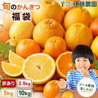 柑橘類 詰め合わせ 訳あり 2.5kg/5kg/10kg 和歌山産 甘夏/カラマンダリン/セミノール/清見オレンジ/河内…