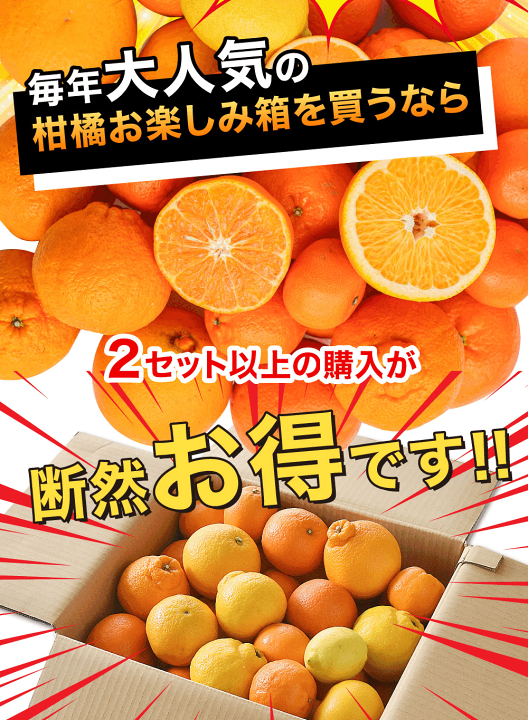 楽天市場】家庭用 訳あり 和歌山産 みかん 柑橘詰め合わせ 2.5kg