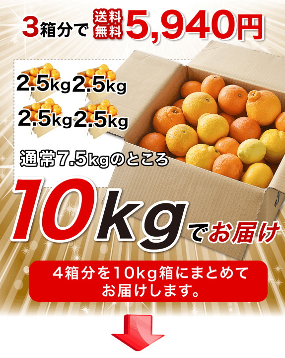 楽天市場】【2026年2月から発送予定】＼2箱購入で5kg分送料無料 3箱