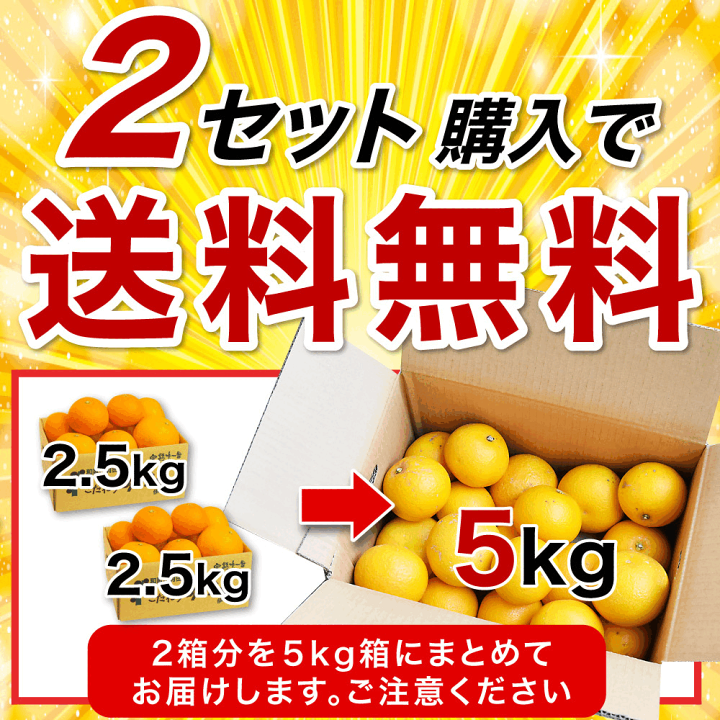 楽天市場】八朔 はっさく 訳あり 送料無料 2.5kg 2箱 購入で