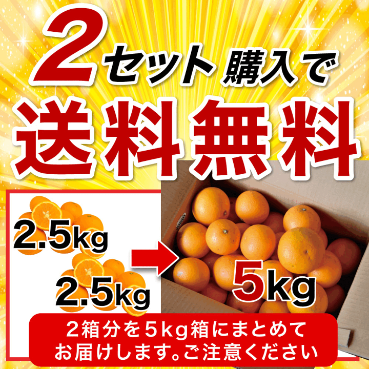 楽天市場】【2箱購入で5kg分送料無料 3箱購入で2.5kg増量!10kg 楽天市場】【2箱購入で5kg分送料無料 3箱購入で2.5kg増量!10kg