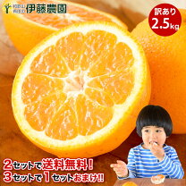 楽天市場】山北 みかんの通販