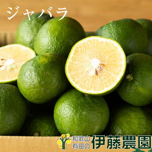 【すだちやかぼす 柚子のような香酸柑橘 】ジャバラ じゃばら 2.5kg 5kg 10kg 特選 秀品 特選 送料無料 和歌山 S M 小粒 中粒 手詰め みかん 約18個〜40個入ります ご当地 贈答 ギフト