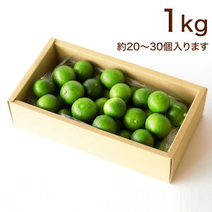  ݂ 500g 1kg a̎R k X_` m[bNX m[ubVO hܕsgp ||  Ă g 
