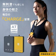 伊藤超短波 公式 ATmini CHARGE 低周波治療器 【前田健太選手愛用】 コンパクト 電気治療器 家庭用 膝 肩…