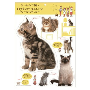 y[OKzwXeCt `[˂ EH[XebJ[ O CM12055