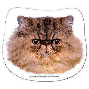 【メール便OK】学研ステイフル チームねこの猫好きが欲しくなるステーショナリー かおふせん (A)