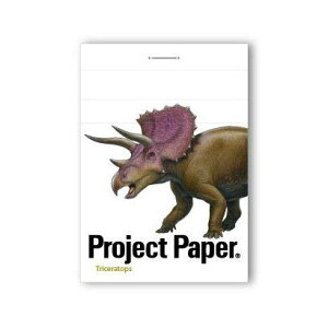 �I�L�i�y���ʌ���z�v���W�F�N�g�X�e�b�`���� �_�C�i�\�[ (�g���P���g�v�X PM3759)