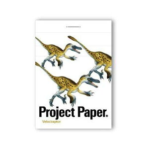 �I�L�i�y���ʌ���z�v���W�F�N�g�X�e�b�`���� �_�C�i�\�[ (���F���L���v�g�� PM3767)