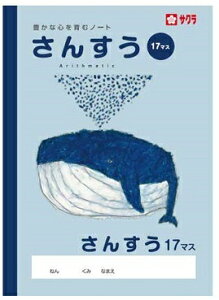 TNNpX wK B5 yĒ×SfUCz (񂷂 17}X)