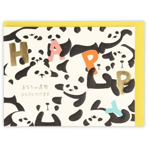 z[}[N o[Xf[fBJ[h Aj}p_EAR-787-677