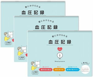 _CS[ ǂɂ錌L^ B5 R2306 3Zbg CXg u[