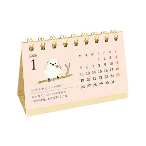 RYU-RYU 2026�N �J�����_�[ ���h�T�C�Y�J�����_�[ �h�E�u�c�Y�J�� CT2612