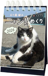 APJ 2026N  J_[ (n) jII߂/ ܏\ 1000136880