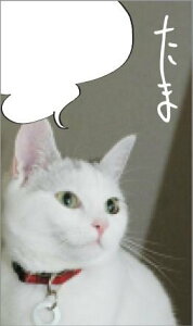 y[OKzP&A ܂ܑ̂ |` 5 65mmx110mm ӂE TS020 lR L ˂