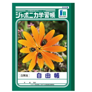 W|jJwK 䂤傤 n 30 R Z~B5TCY w3N w4N w5N w6N wZ R179×^e252mm VEm[g