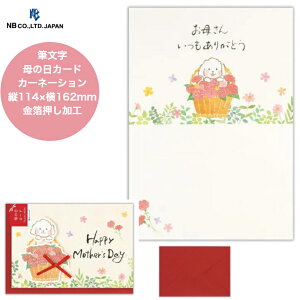 ̓J[h ̓ M J[l[V  肪Ƃ̋C` bZ[W v[g i ʃ^b` ̓I H c114×162mm { O[eBO