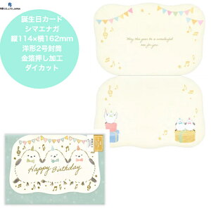 aJ[h V}GiK ӂ킩 킢 _CJbg c114×162mm H m`2 v[g [ Gkr[