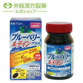 ブルーベリールテインプラス 約20日分 300mgX60粒 ブルーベリーエキス ルテイン サプリ ビタミンA ソフトカプセル 栄養機能食品