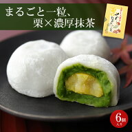 【TV番組紹介！】 お菓子 お茶 抹茶 栗抹茶だいふく 6個入 § 栗 和栗 和菓子 抹茶 宇治茶 甘露煮 季節限…