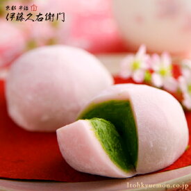 春限定 さくら抹茶だいふく 抹茶大福 6個 箱入り 桜スイーツ § ギフト 義理返し 職場 お返し ホワイトデー お返し バレンタイン プチギフト 抹茶スイーツ お取り寄せ 和菓子 お菓子 ギフト プレゼント お土産 内祝い 退職 お礼 老舗 伊藤久右衛門 ホワイトデイ