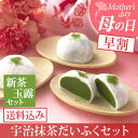 母の日 ギフト 2018 抹茶大福 大福 6個箱入り&宇治新茶・玉露 巾着セット 送料込み 早割 プレゼント 抹茶スイーツ お菓子 和菓子 洋菓子 老舗 伊藤久...