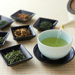 F Zbg F\Zbg 10  ʘI Ē  肪 ق§Β  { X  s yY V܂ ɓvEq  syY 