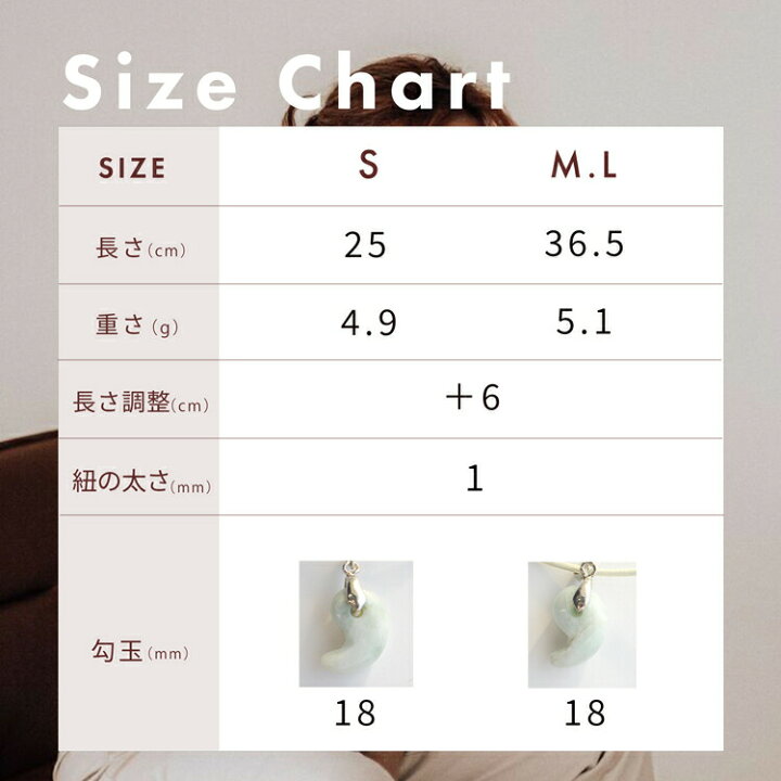 楽天市場】【30%OFFクーポン対象＋P5倍】 犬 首輪 小型犬 中型犬  