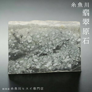 yyVX[p[SALE 20OFFz Ő  2.1kg VY Ő  _  5a Ђ VR p[Xg[ yYqXCXz 3522