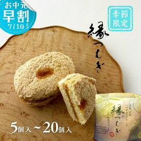 いと重菓舗 へべすダックワーズ・縁つむぎ 洋菓子 ギフト 滋賀 彦根 手土産 お供え物 スイーツ お中元 夏ギフト