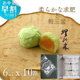 いと重菓舗 大口注文・法人様向け 埋れ木 6個入 10箱 和菓子 ギフト 滋賀 彦根 手土産 お供え物 スイーツ お中元 夏ギフト