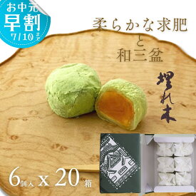 いと重菓舗 大口注文・法人様向け 埋れ木 6個入 20箱 和菓子 ギフト 滋賀 彦根 手土産 お供え物 スイーツ お中元 夏ギフト