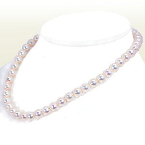 ^p[lbNX8.5`9mmN-12589