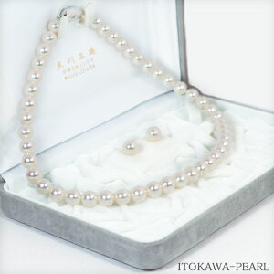 Ԏ^2_Zbg^lbNX8.5mmӕʏt NE-1907